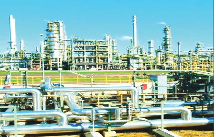 The Dangote License to Fight for Nigeria
