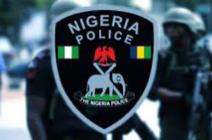 STATE POLICE IN NIGERIA: A GOOD IDEA THAT MAY BECOME A DANGEROUS WEAPON.